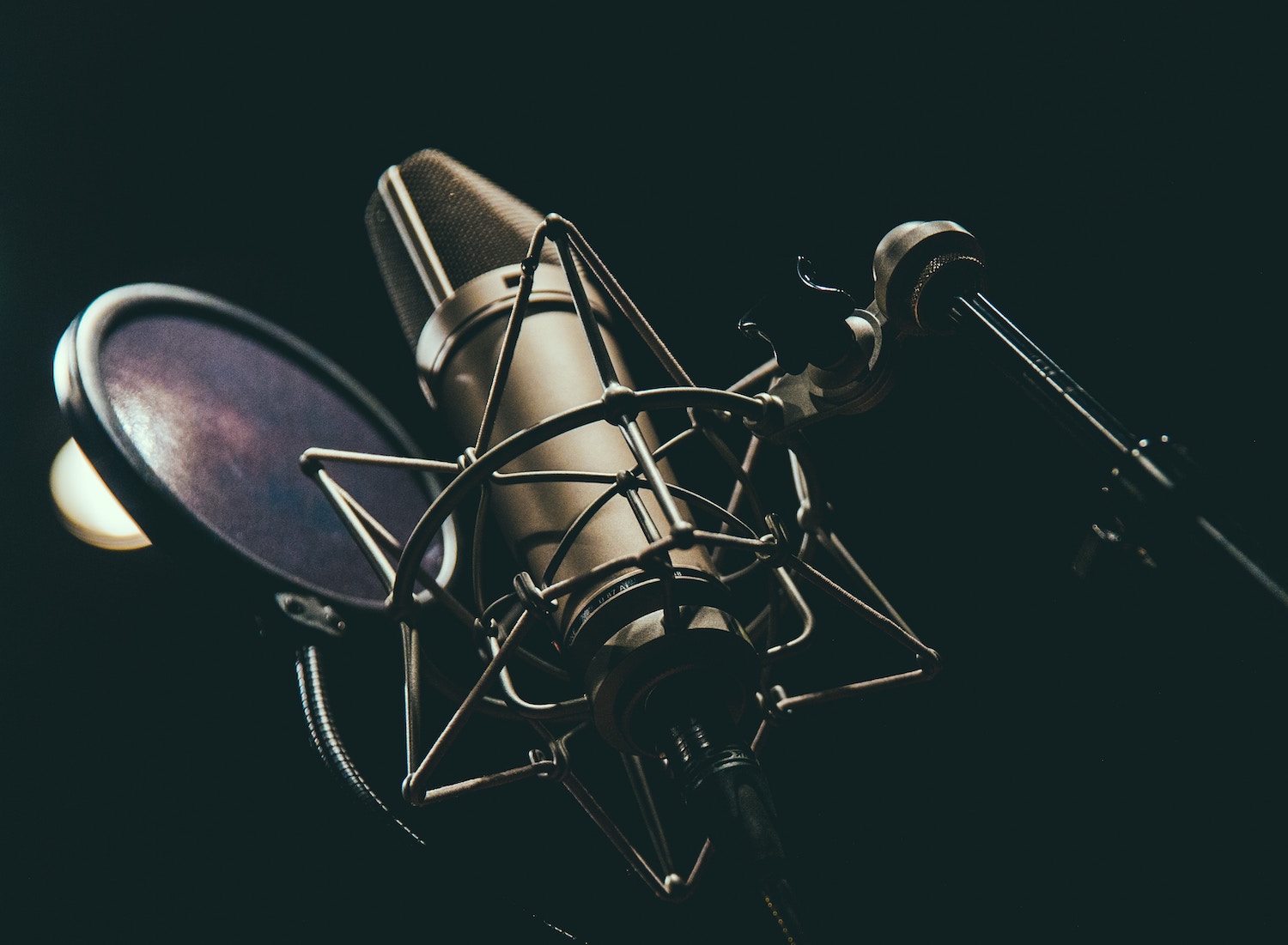 Voice accents in voice acting: image of a microphone