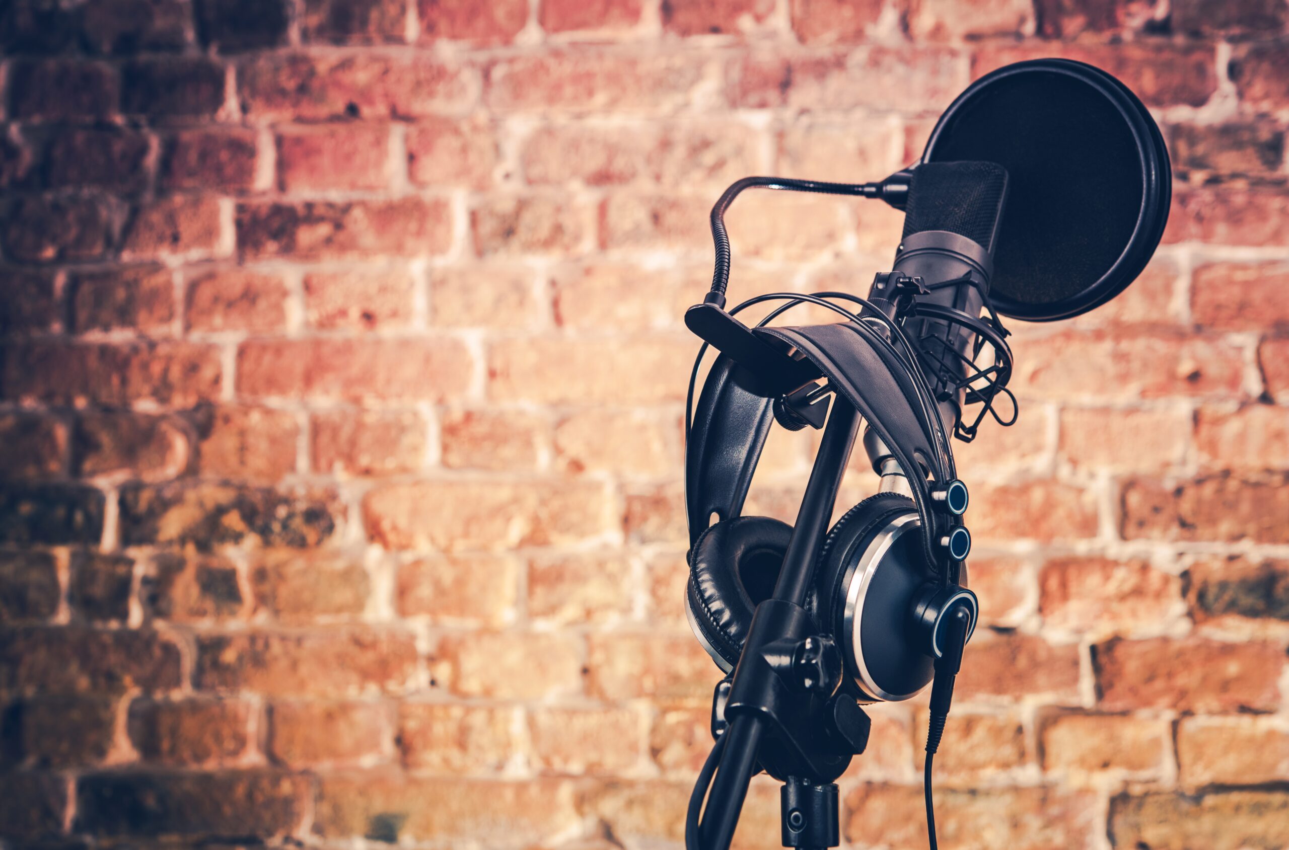 how much do voice actors make